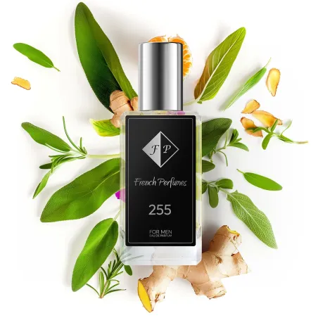 Francuskie Perfumy No 255 | Carolina Herrera - 212 Men