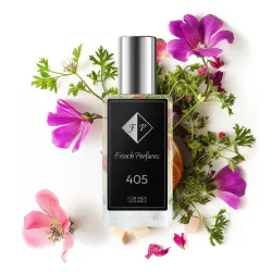 Francuskie Perfumy No 405 | Hermes - Terre D'Hermes